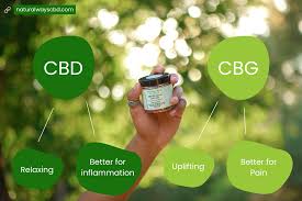 Unveiling The Healing Powers Of Cbd: A Comprehensive Guide