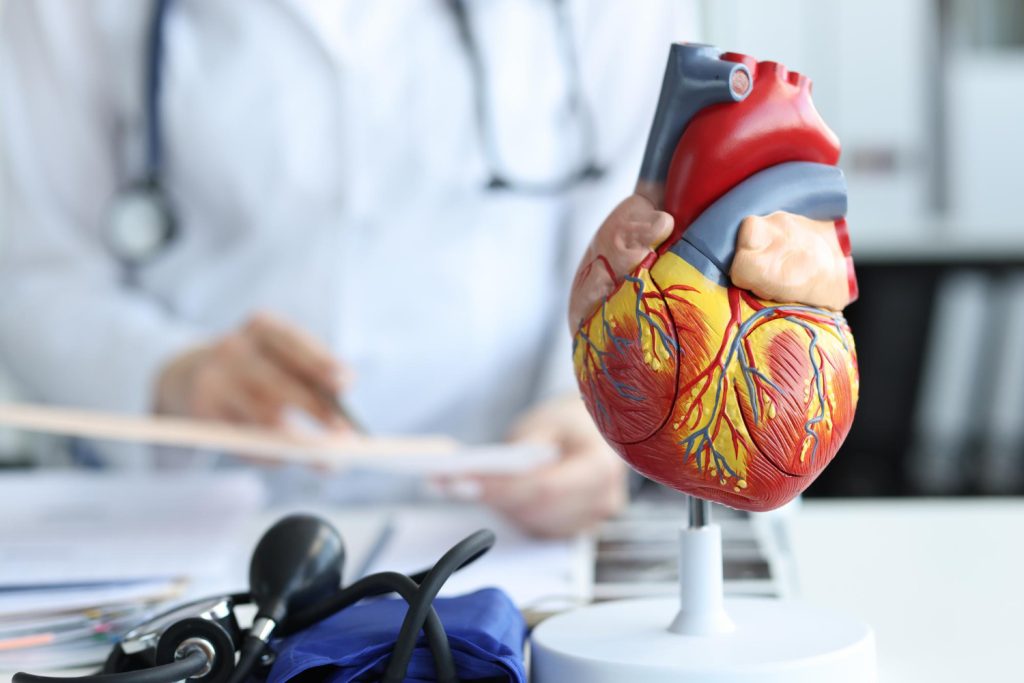The Vital Role of Cardiologists in Modern Healthcare