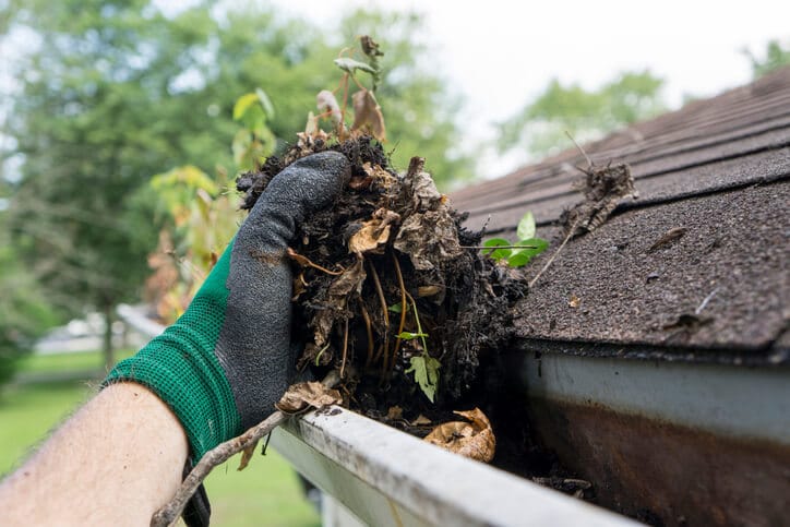 Easy Gutter Cleaning Services For Hassle-Free Maintenance